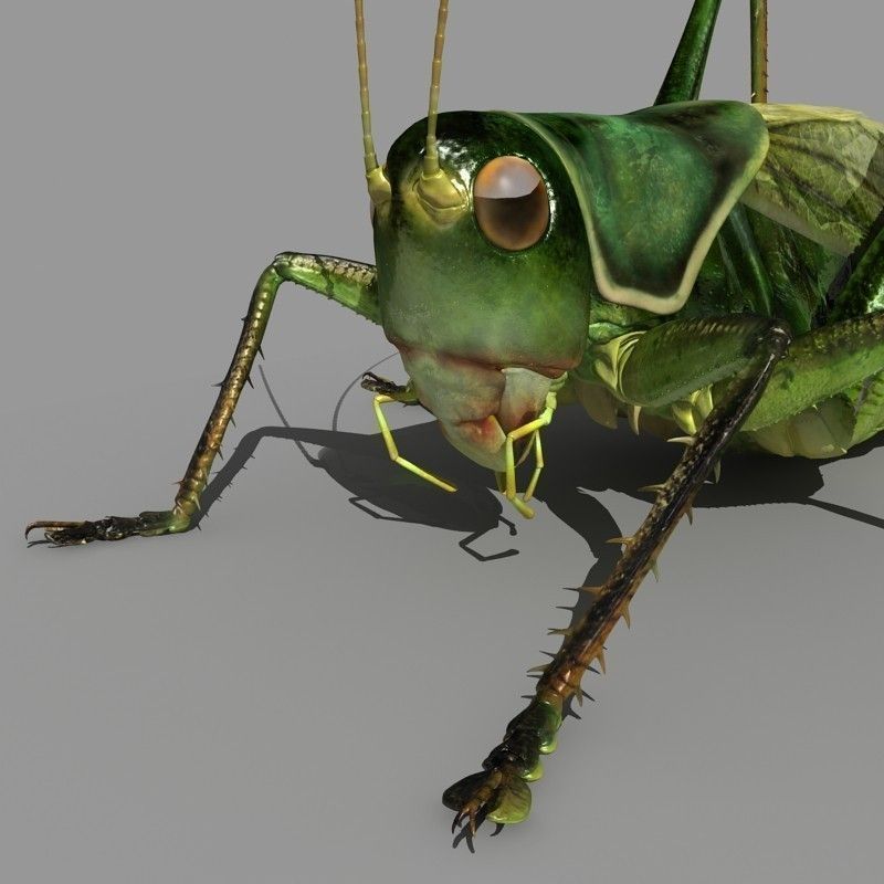 Grasshopper 3D model_9