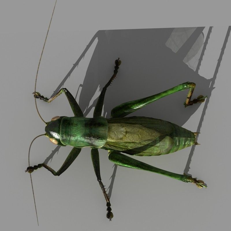 Grasshopper 3D model_6