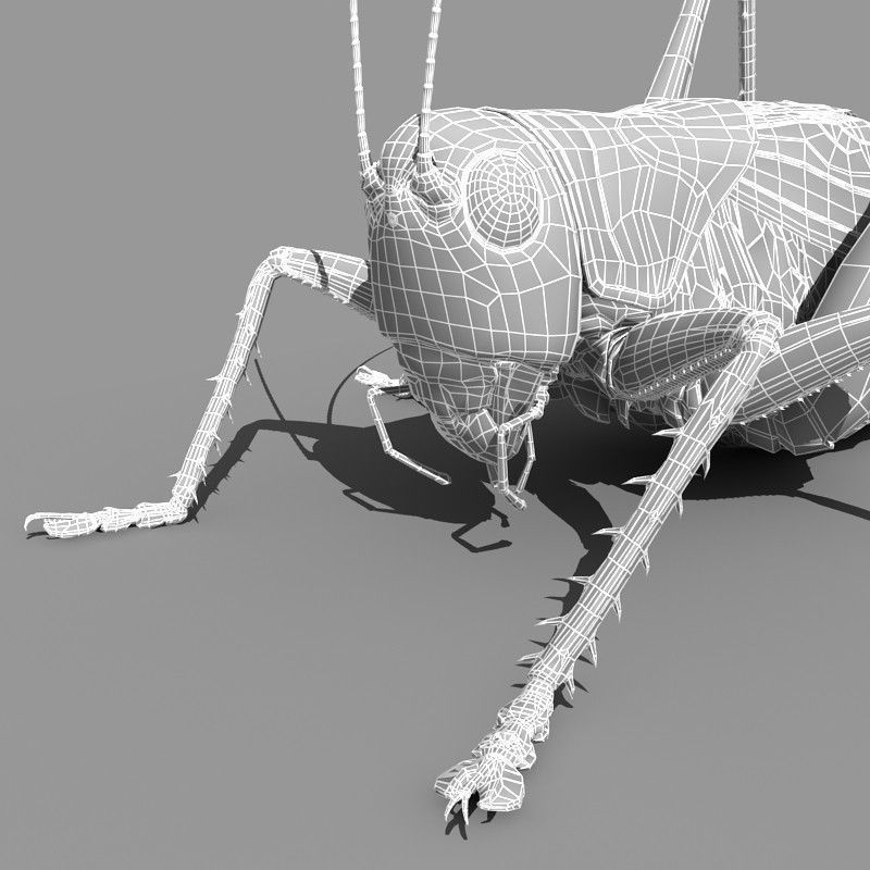 Grasshopper 3D model_10