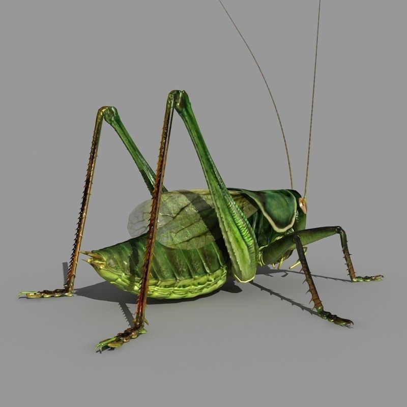 Grasshopper 3D model_2