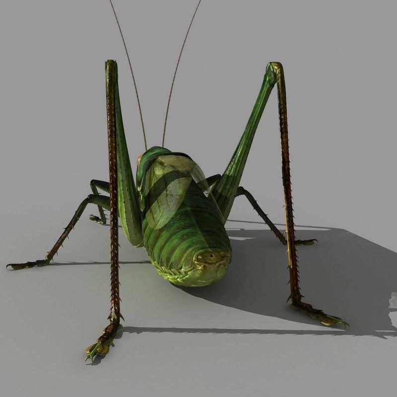 Grasshopper 3D model_5