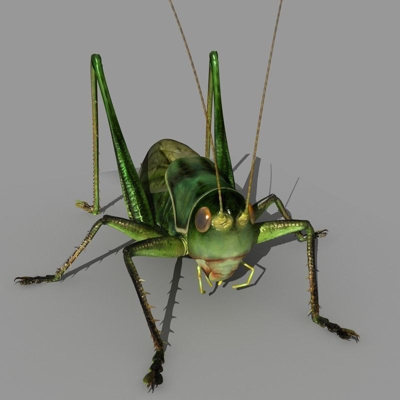 Grasshopper 3D model_1