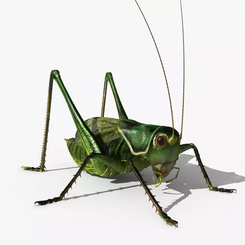 Grasshopper 3D model_0