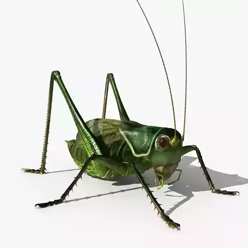 Grasshopper 3D model