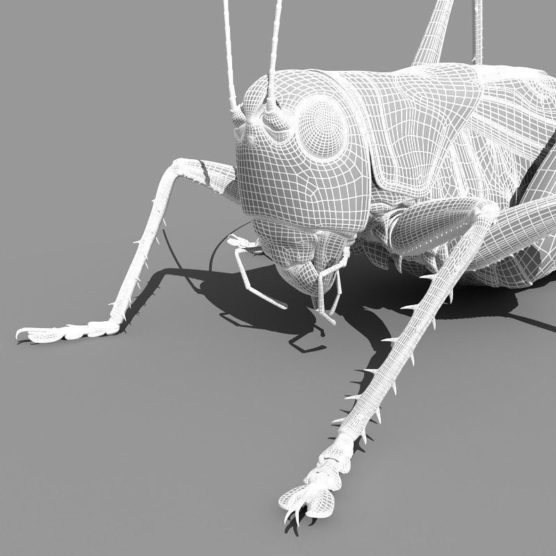Grasshopper 3D model_13