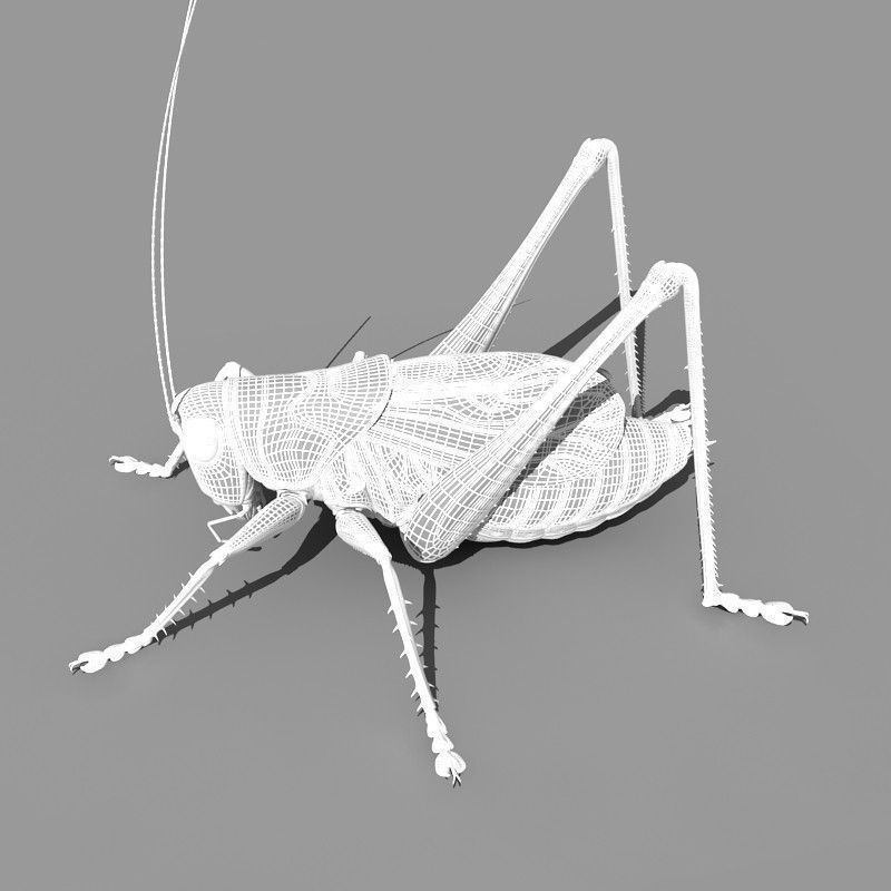 Grasshopper 3D model_12