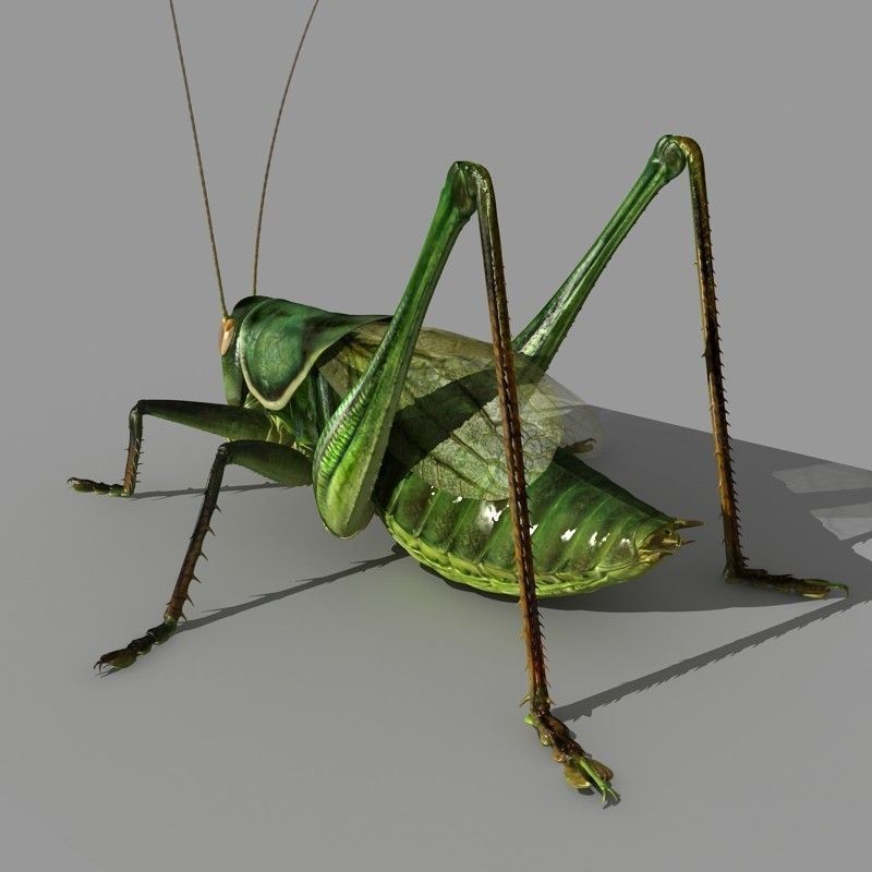 Grasshopper 3D model_4