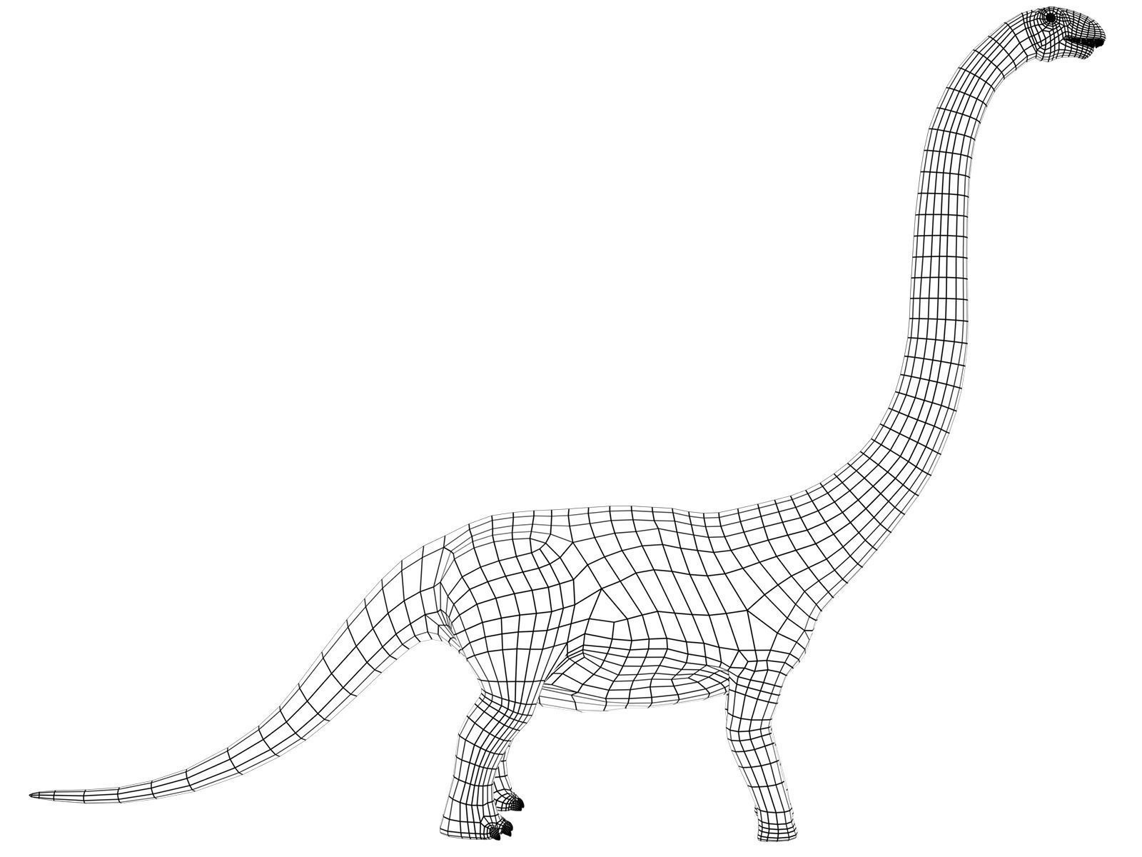 brontosaurus dinosaur Low-poly 3D model_10