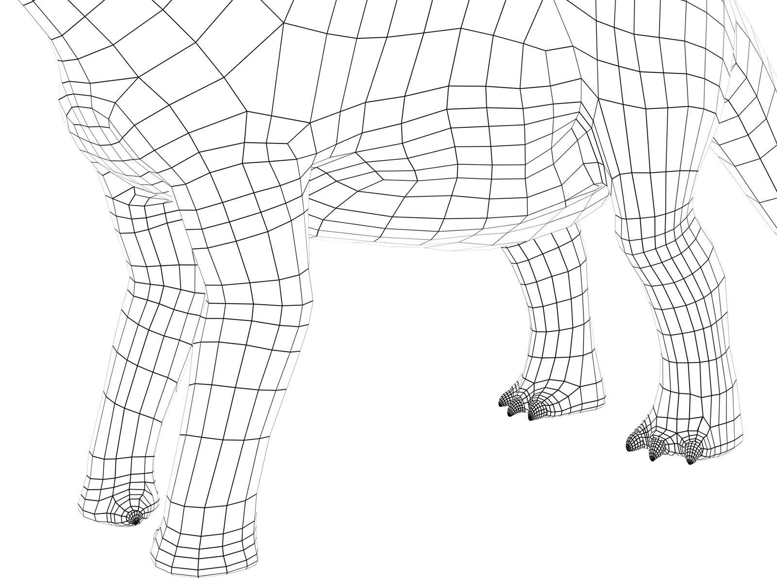 brontosaurus dinosaur Low-poly 3D model_12