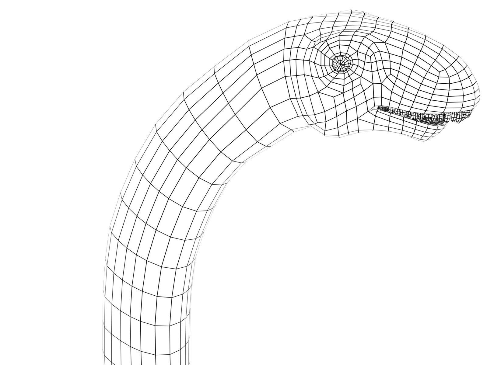 brontosaurus dinosaur Low-poly 3D model_9