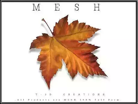 Autumn Leaf - 3D model  Low-poly 3D model