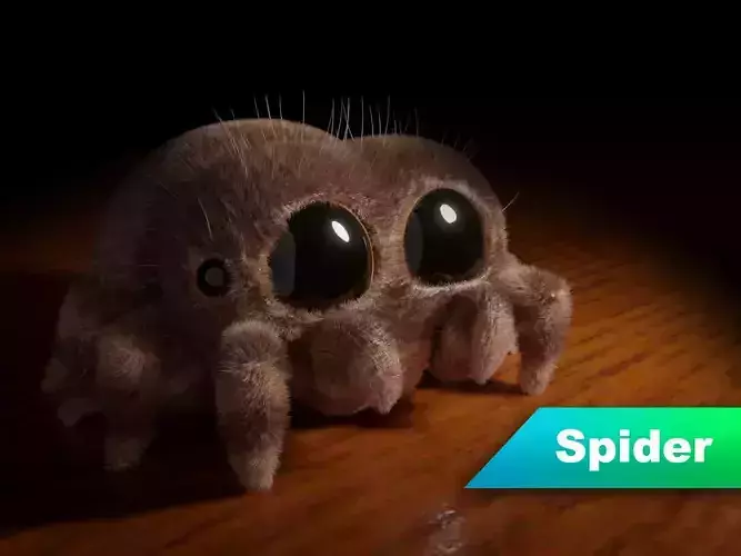 Stylized cute spider 3D model