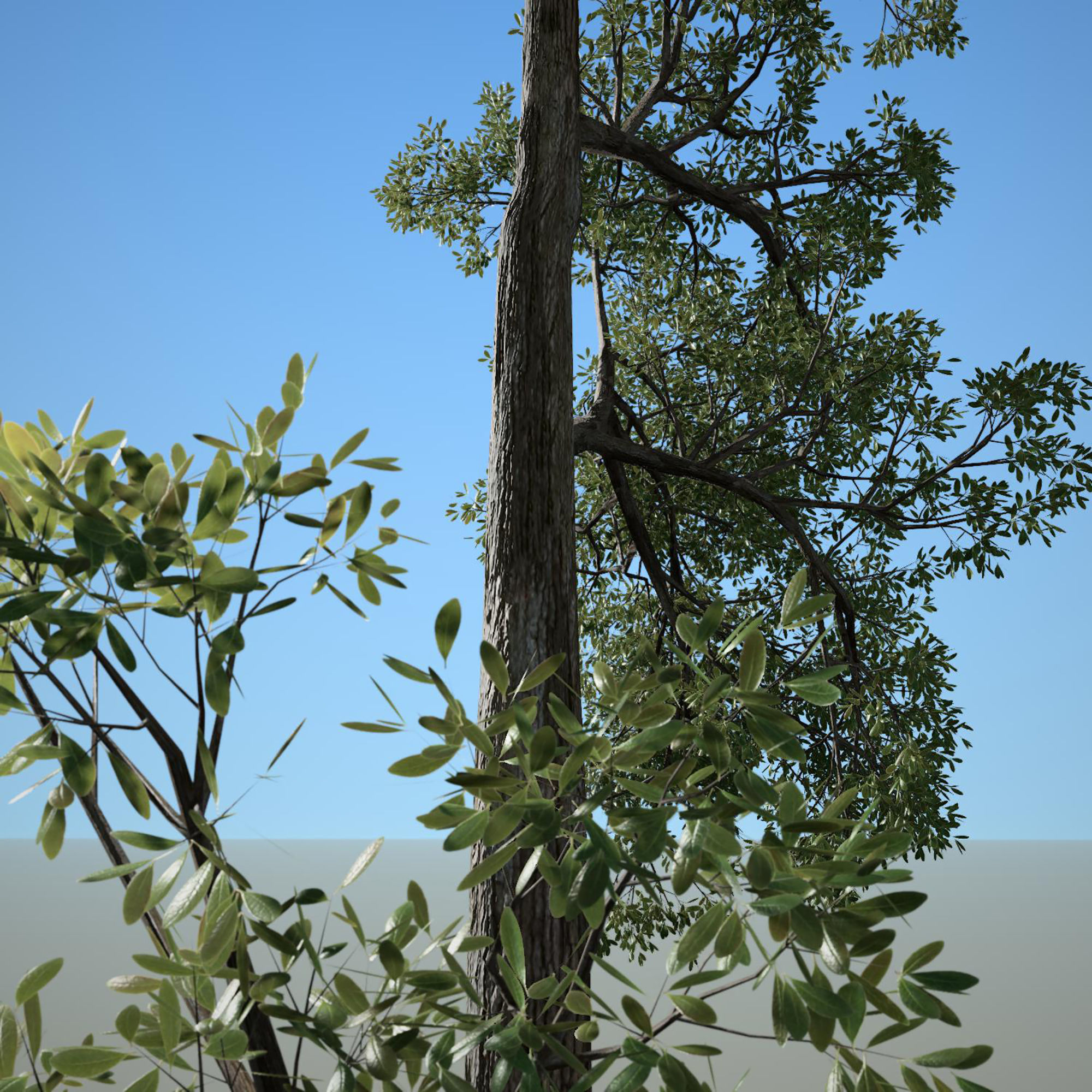 Tree 3d Model No 4 3D model_5