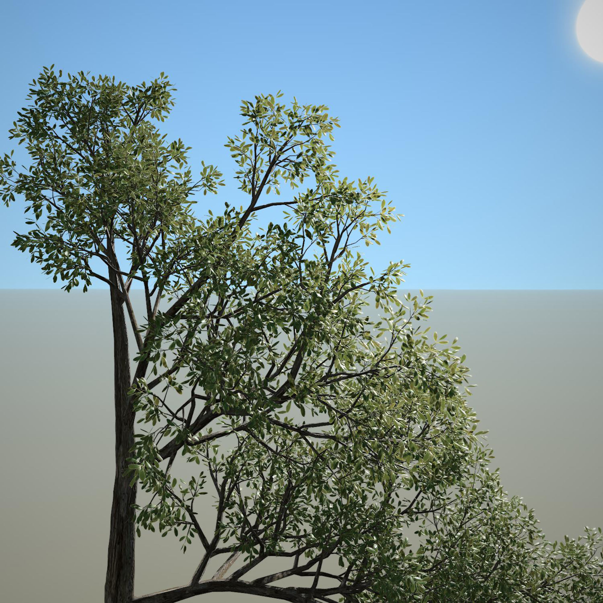 Tree 3d Model No 4 3D model_2