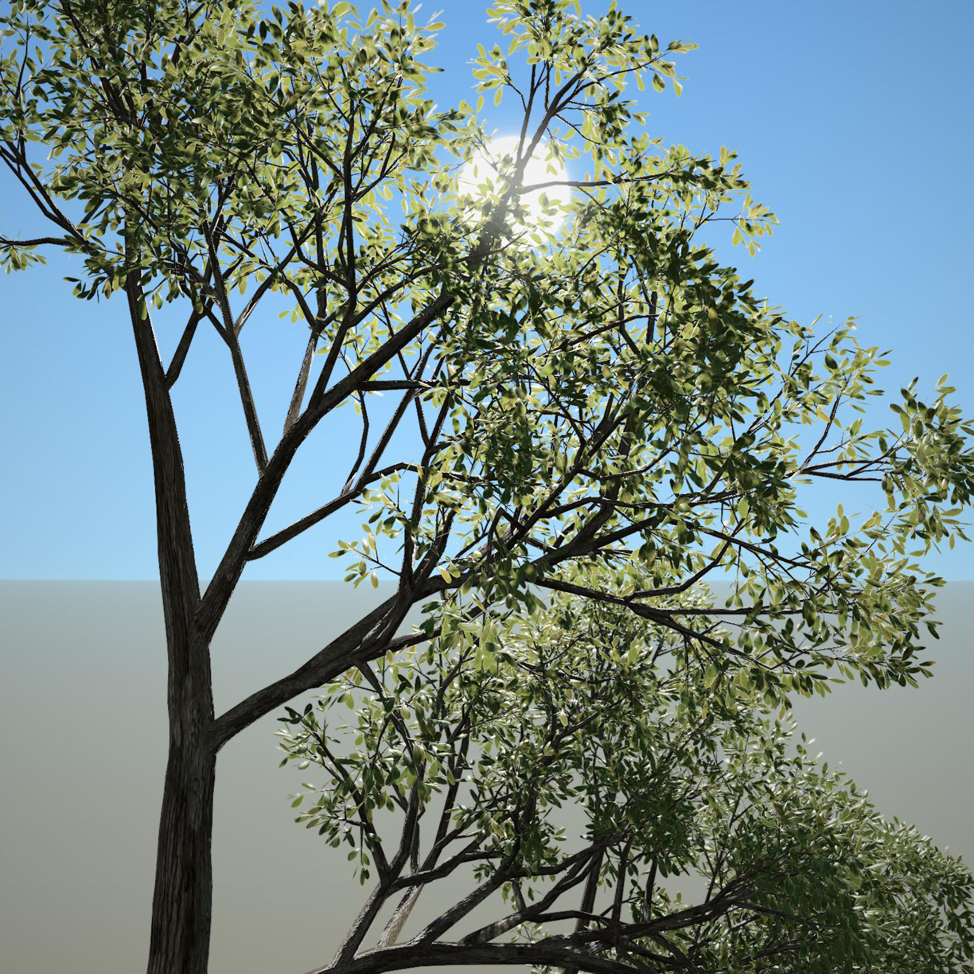 Tree 3d Model No 4 3D model_3
