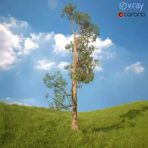 Tree 3d Model No 4 3D model