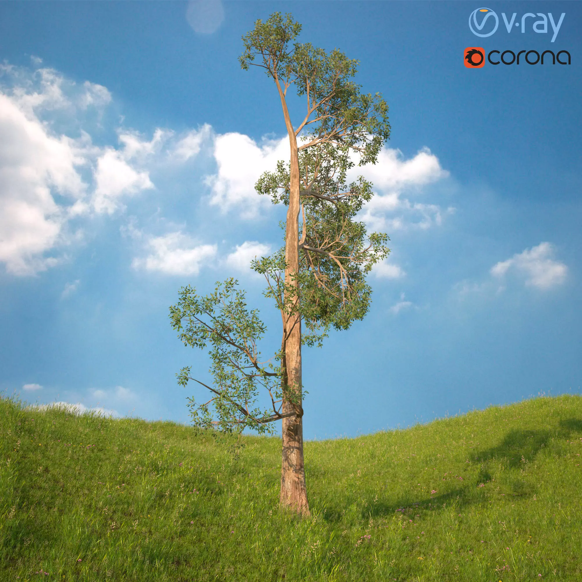 Tree 3d Model No 4 3D model_0