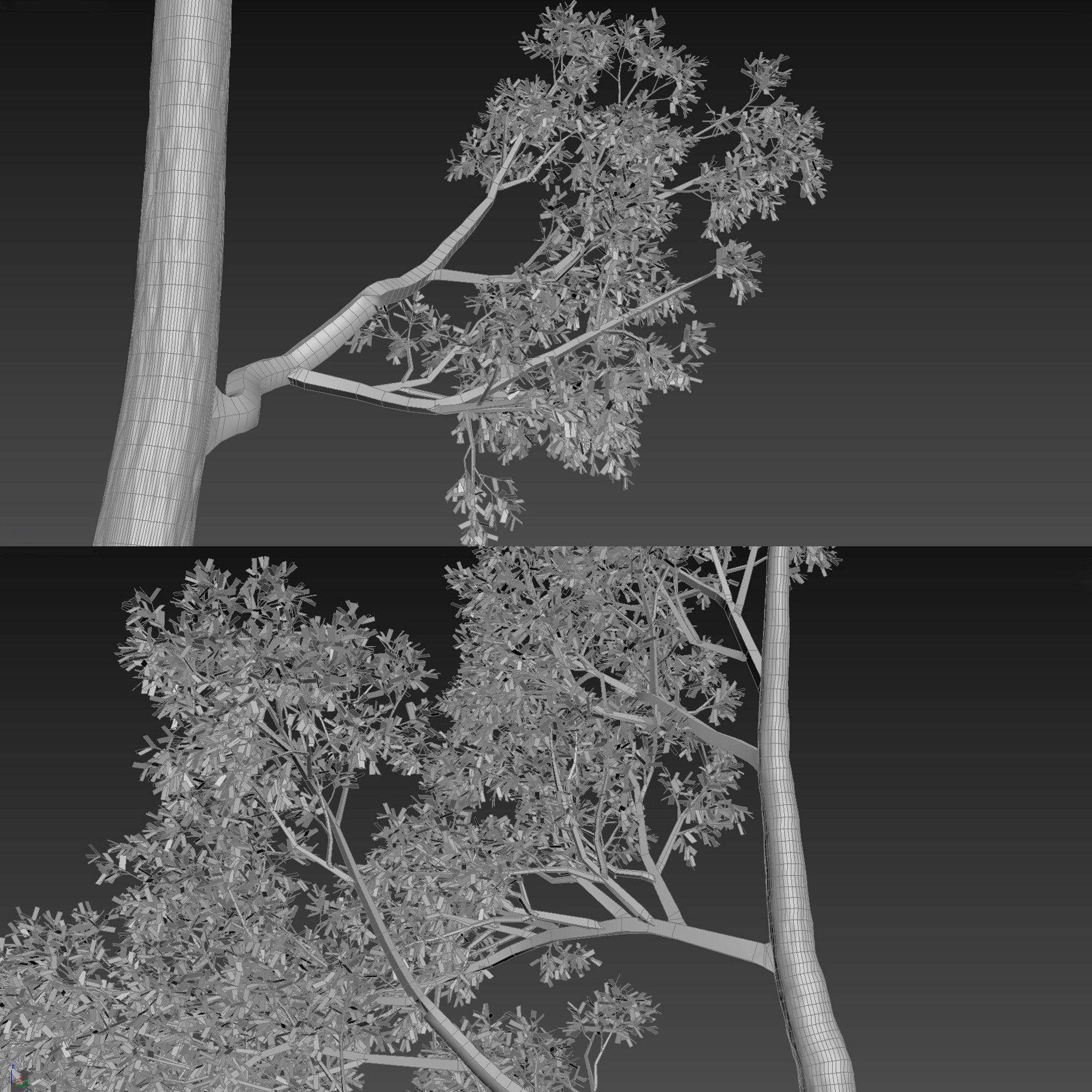 Tree 3d Model No 4 3D model_6