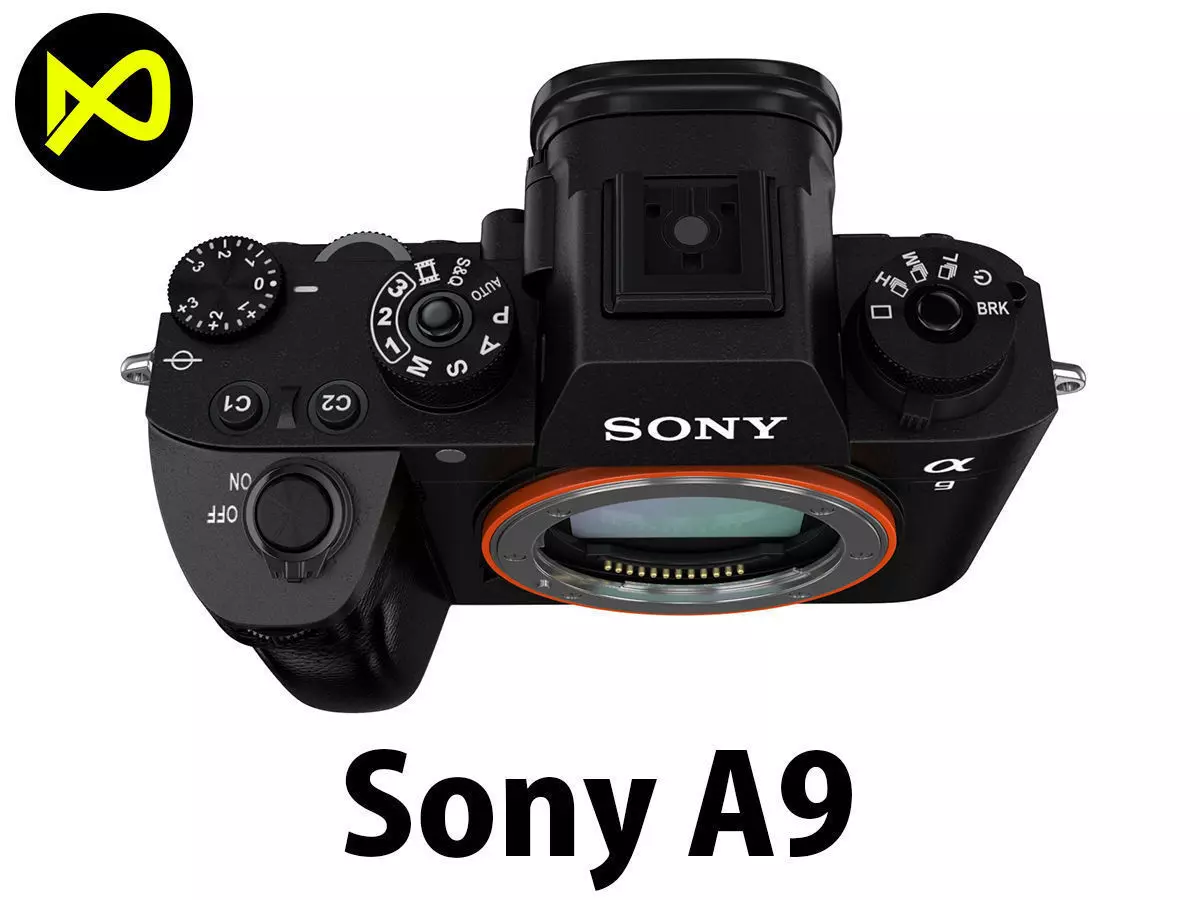 3D Sony Alpha 9 Body Only 3D model