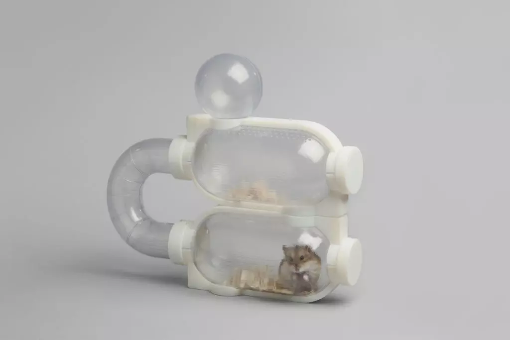 Charles and NiXie s Hamster House on the Moon Free 3D print model_0