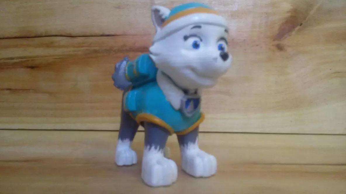 everest PP 3D print model_0