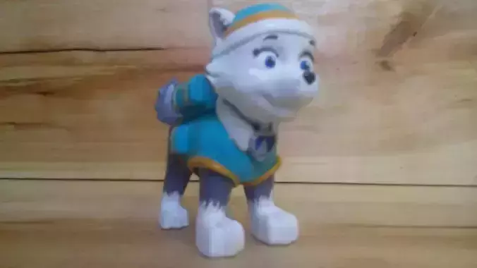 everest PP 3D print model