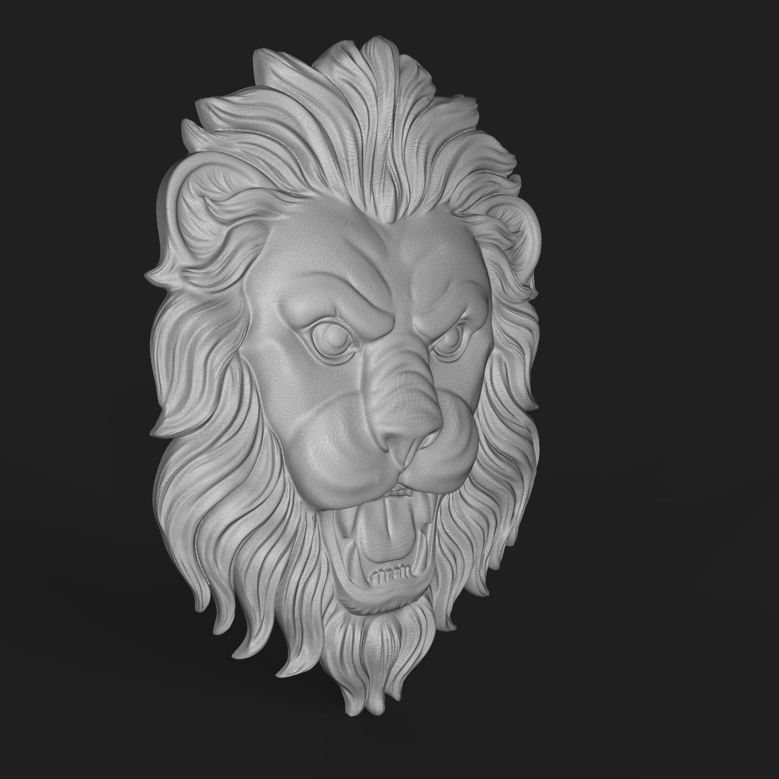 Lion face bas relief 3D print model_9