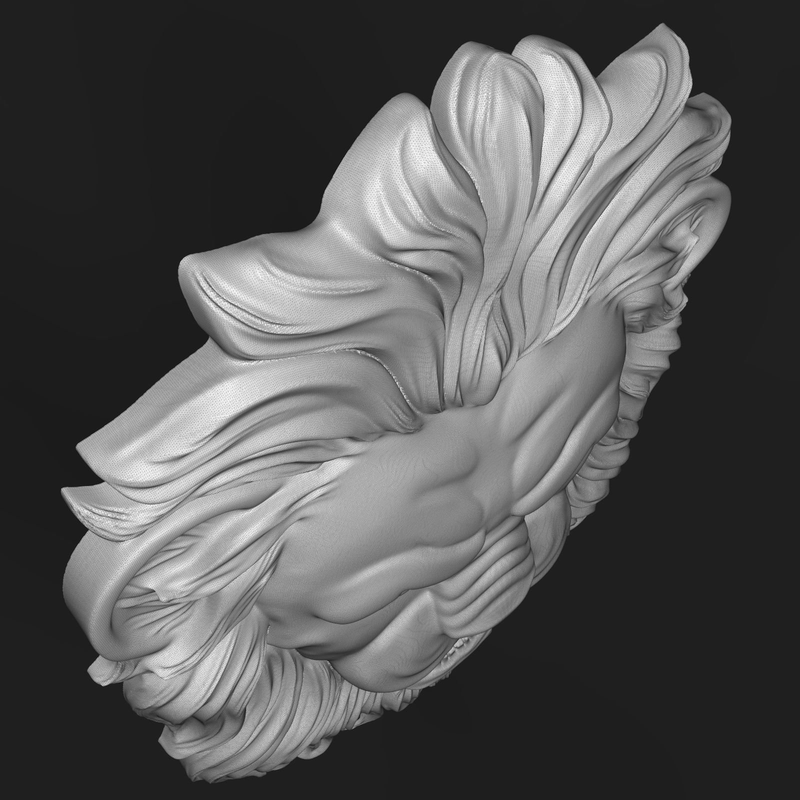Lion face bas relief 3D print model_11