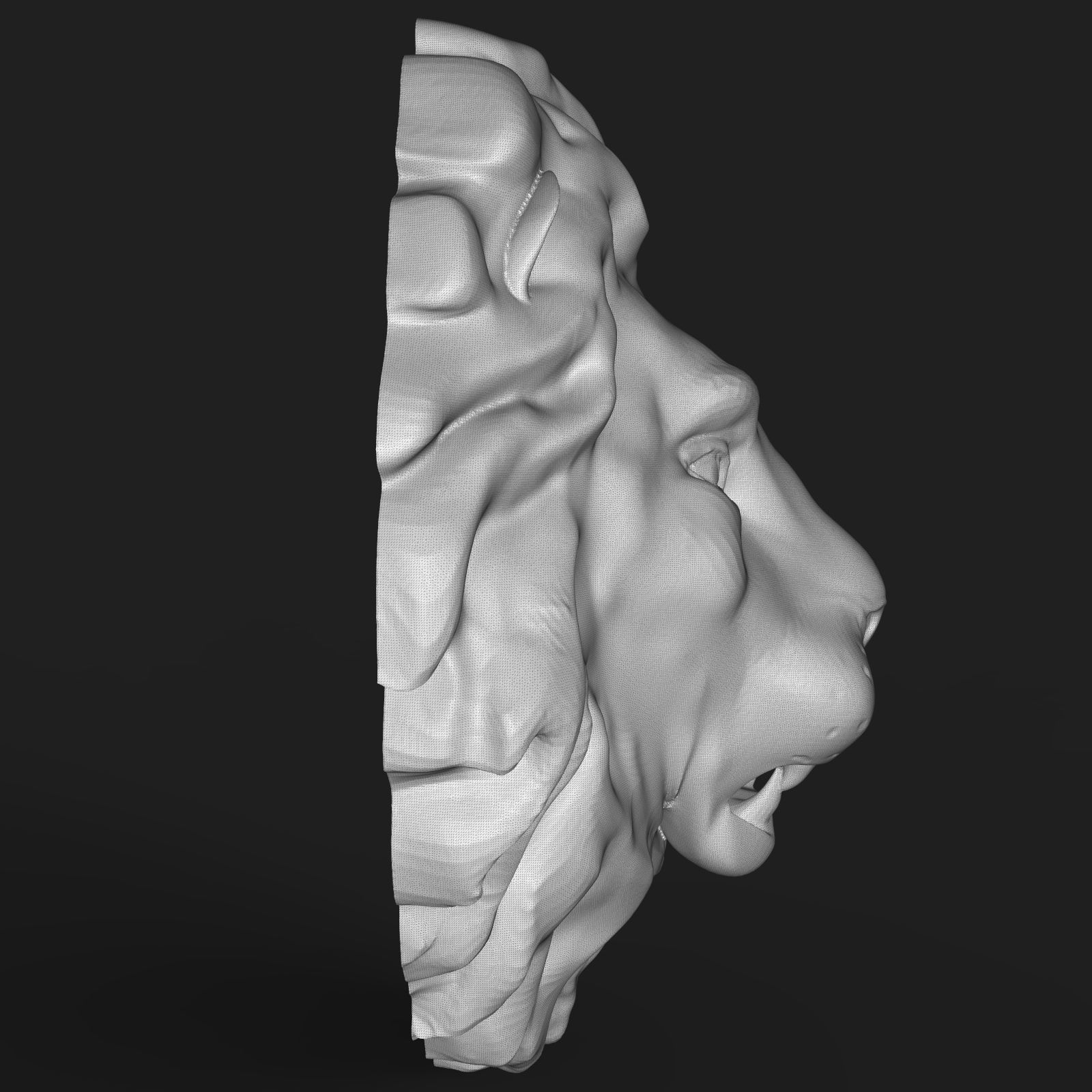Lion head sculpture 3D print model_8