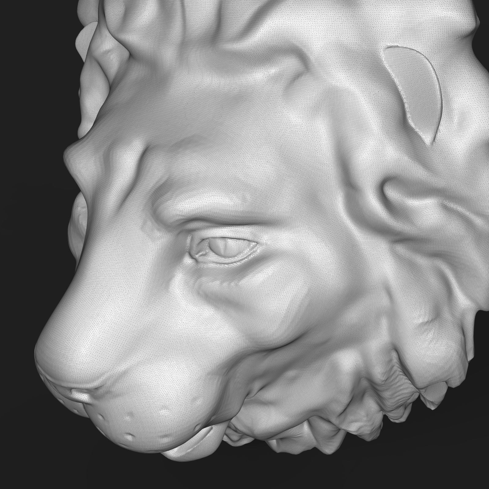 Lion head sculpture 3D print model_10