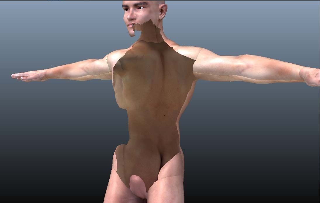 Cross Section Human Digestive System 3D model_5