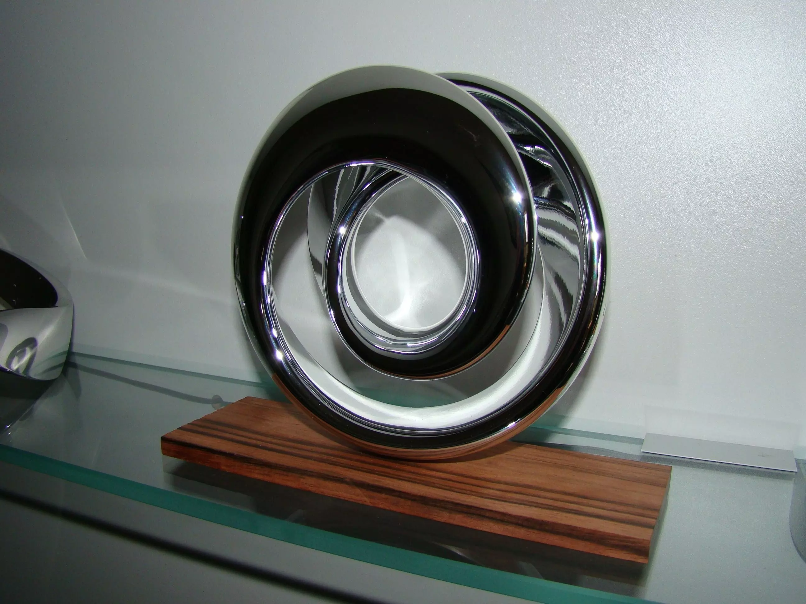 Torus Mobius Free 3D print model_0