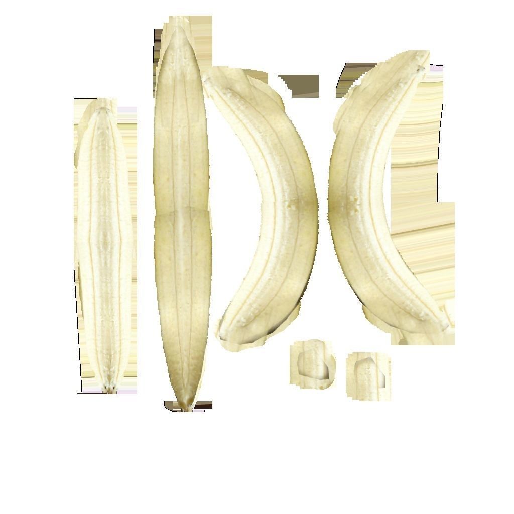 Banana rig 2 Low-poly 3D model_24