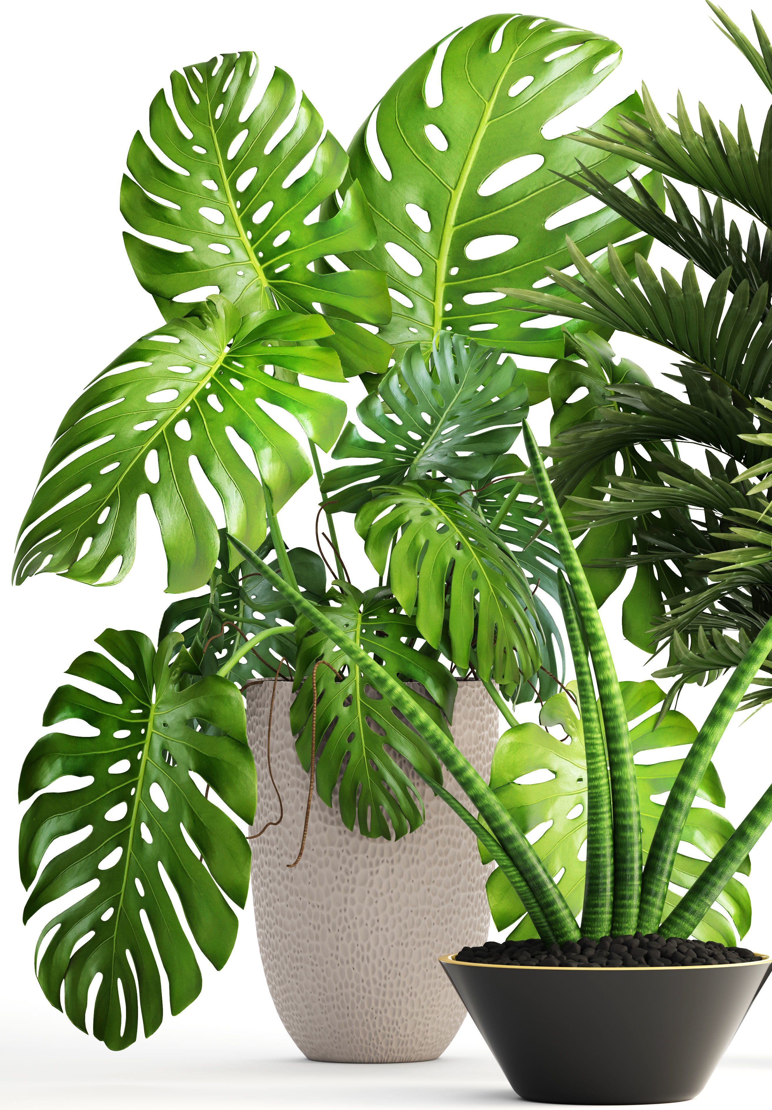 Collection of plants  3D model_2