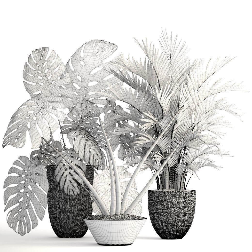 Collection of plants  3D model_8