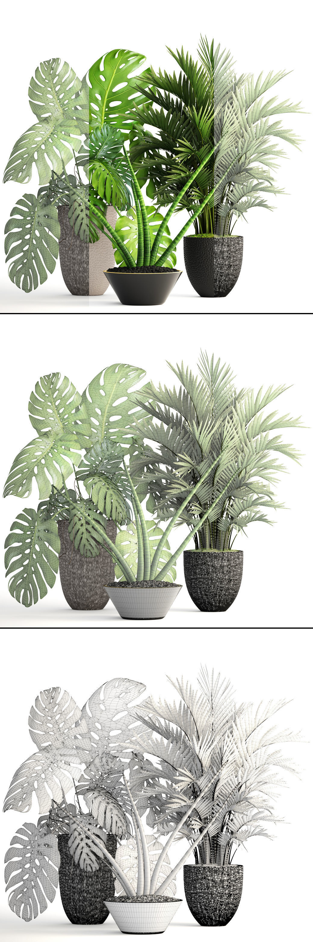 Collection of plants  3D model_5