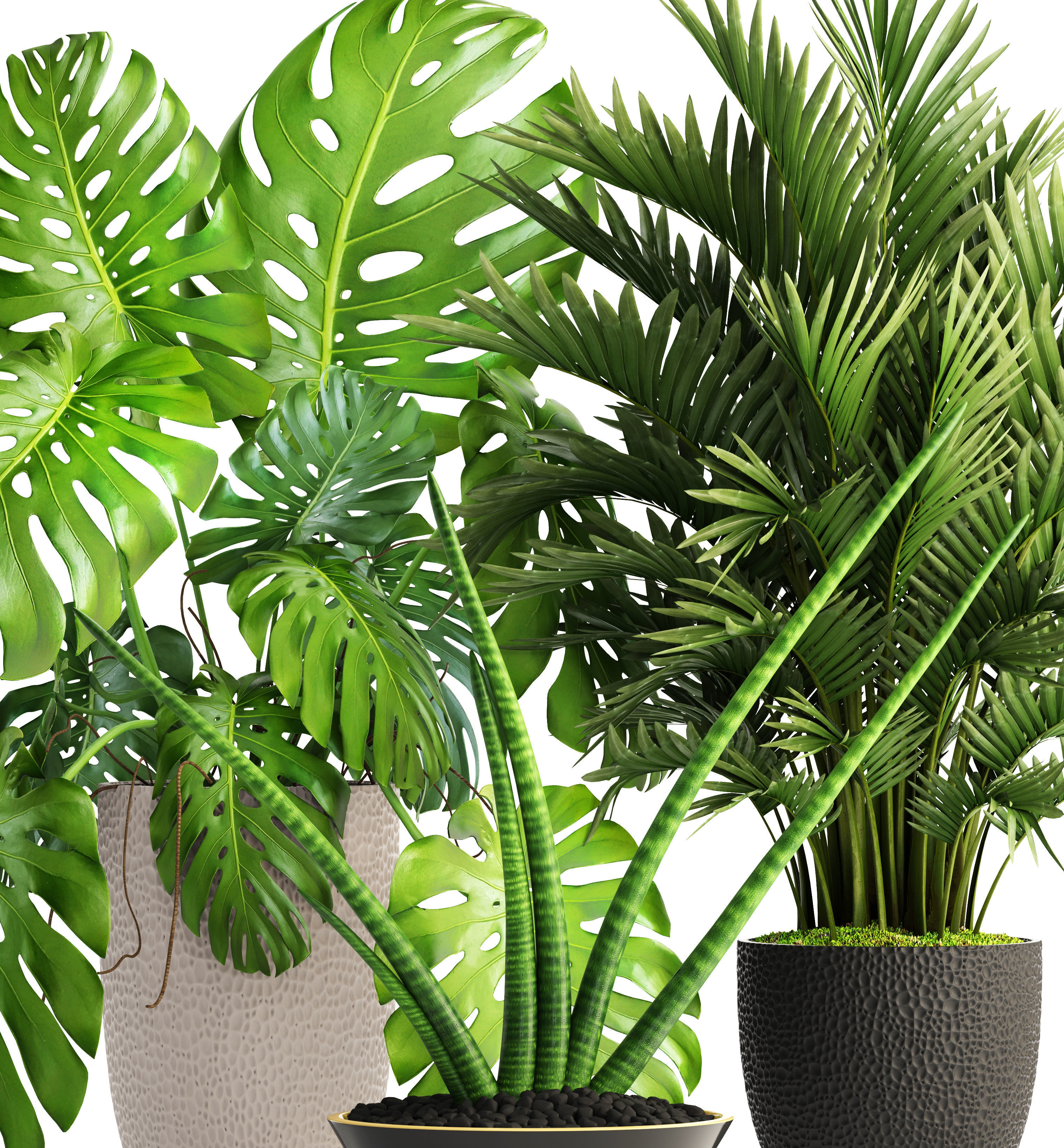 Collection of plants  3D model_9