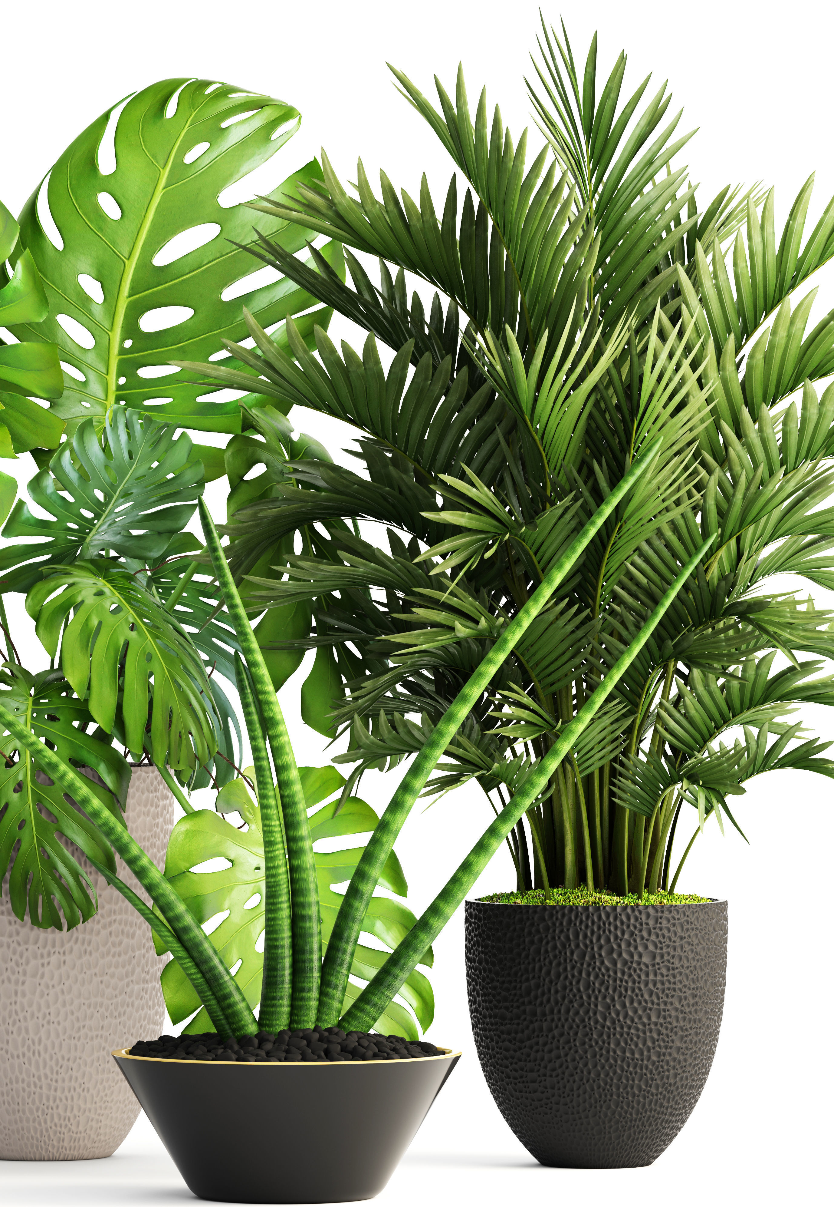 Collection of plants  3D model_4