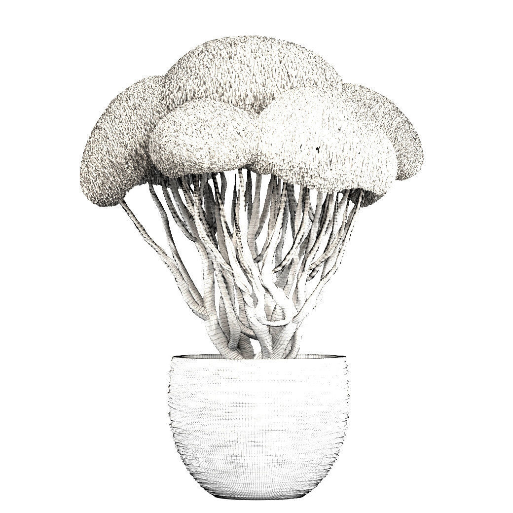 Bonsai tree 3D model_7