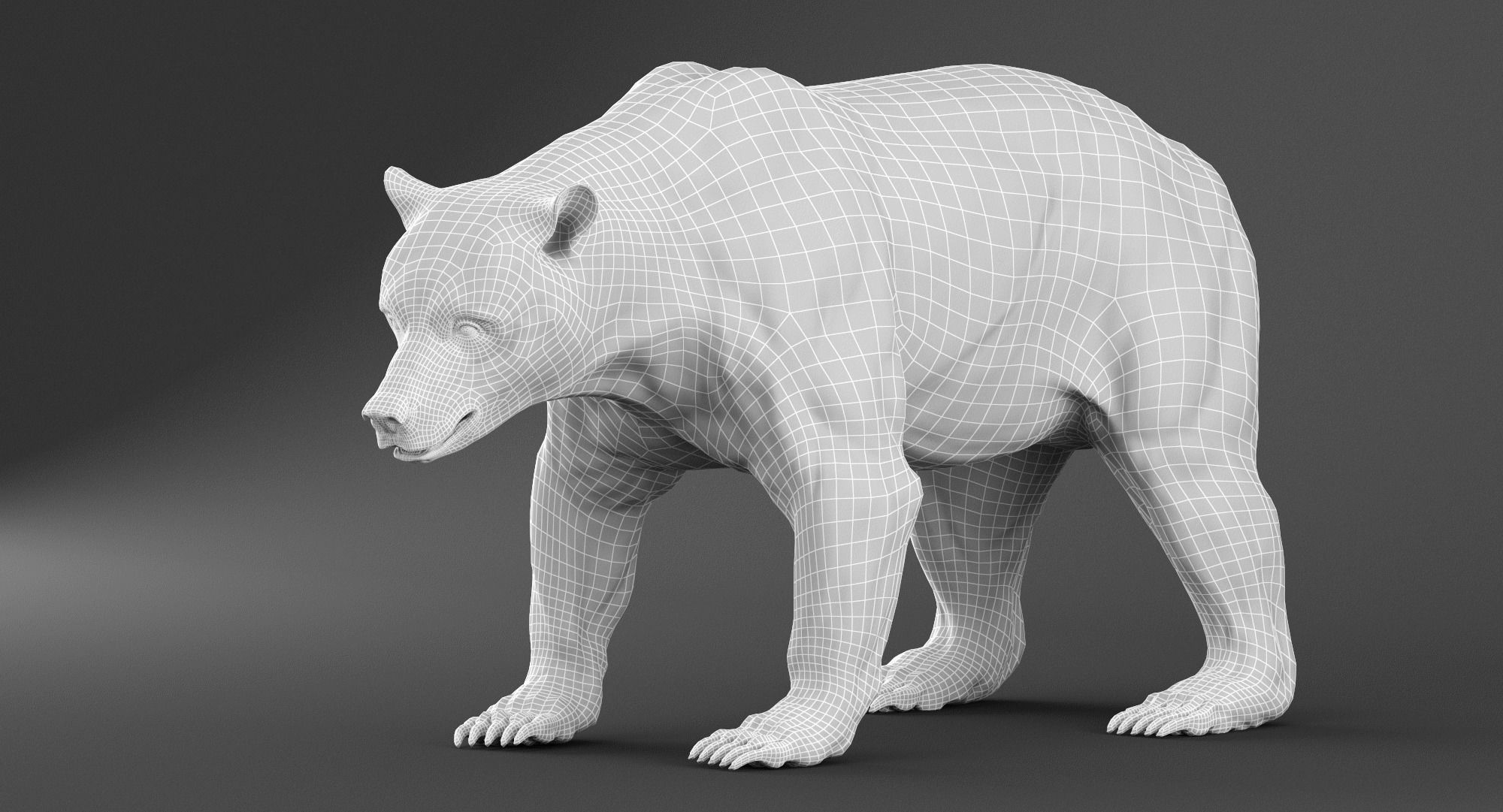 Brown Bear 3D model_5