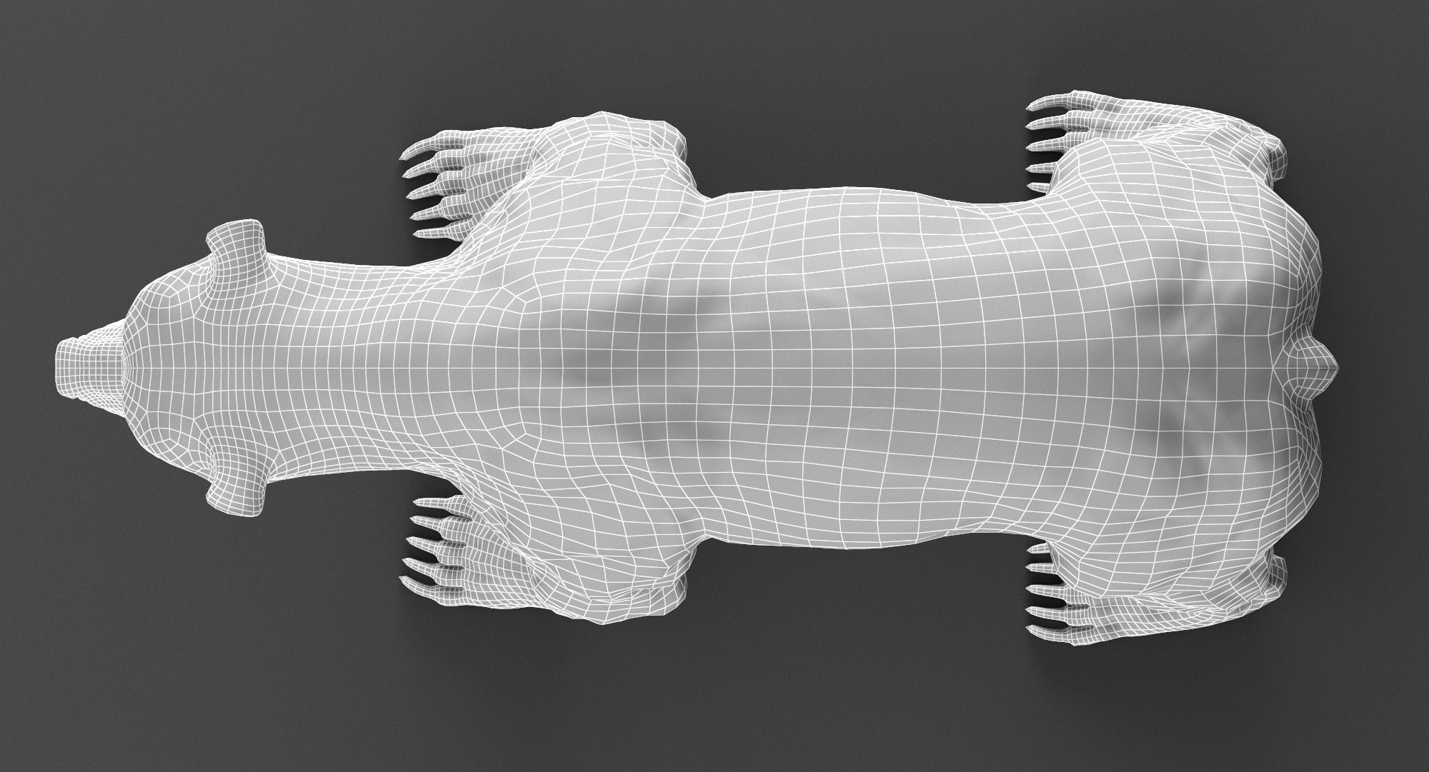 Brown Bear 3D model_8