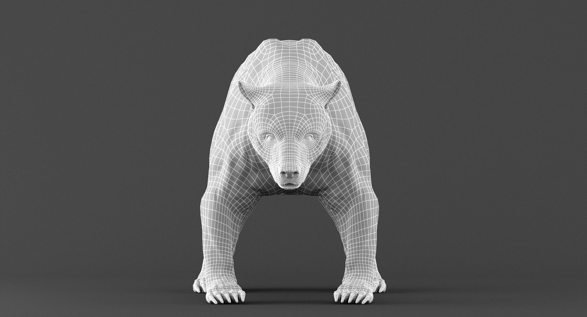 Brown Bear 3D model_7
