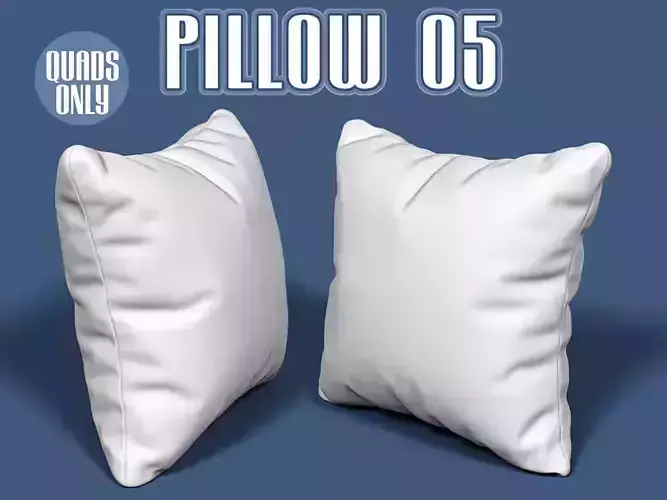 Pillow 05