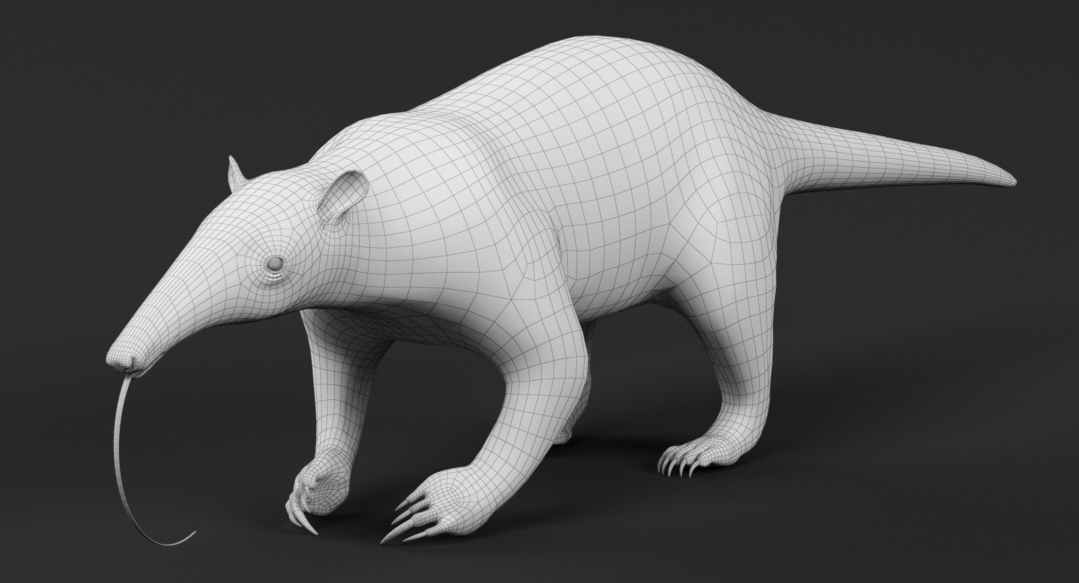 Tamandua Anteater 3D model_8