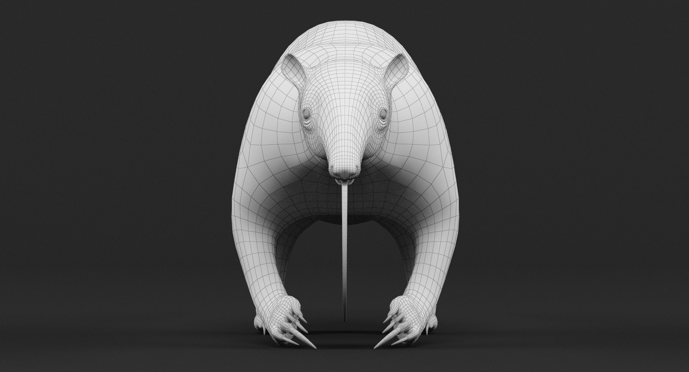 Tamandua Anteater 3D model_11