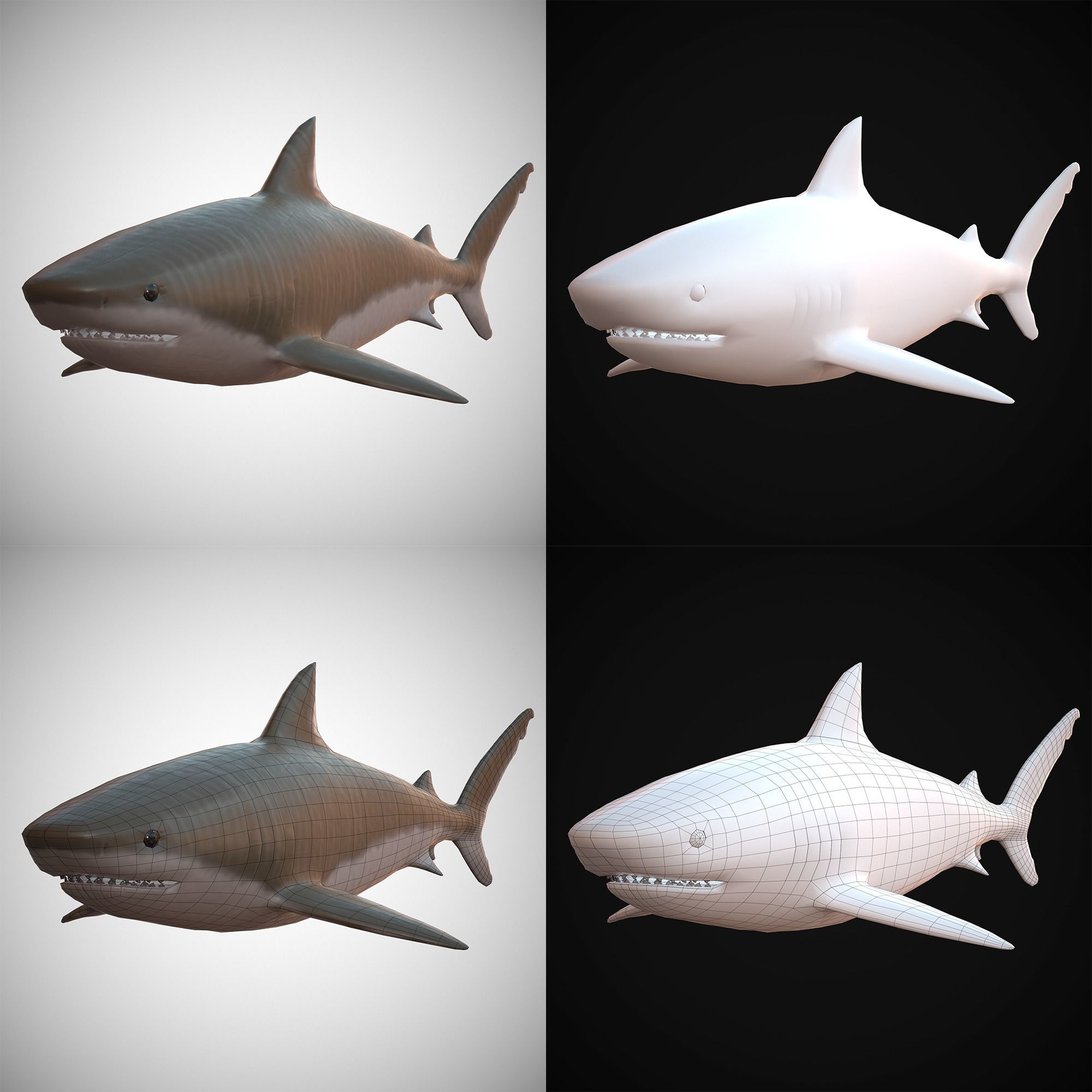 Sharks - 4 Pack Low-poly 3D model_9