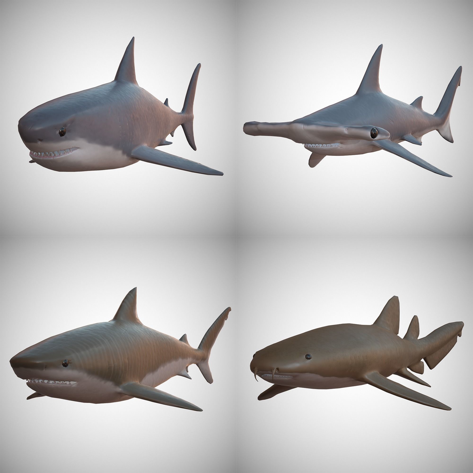 Sharks - 4 Pack Low-poly 3D model_0