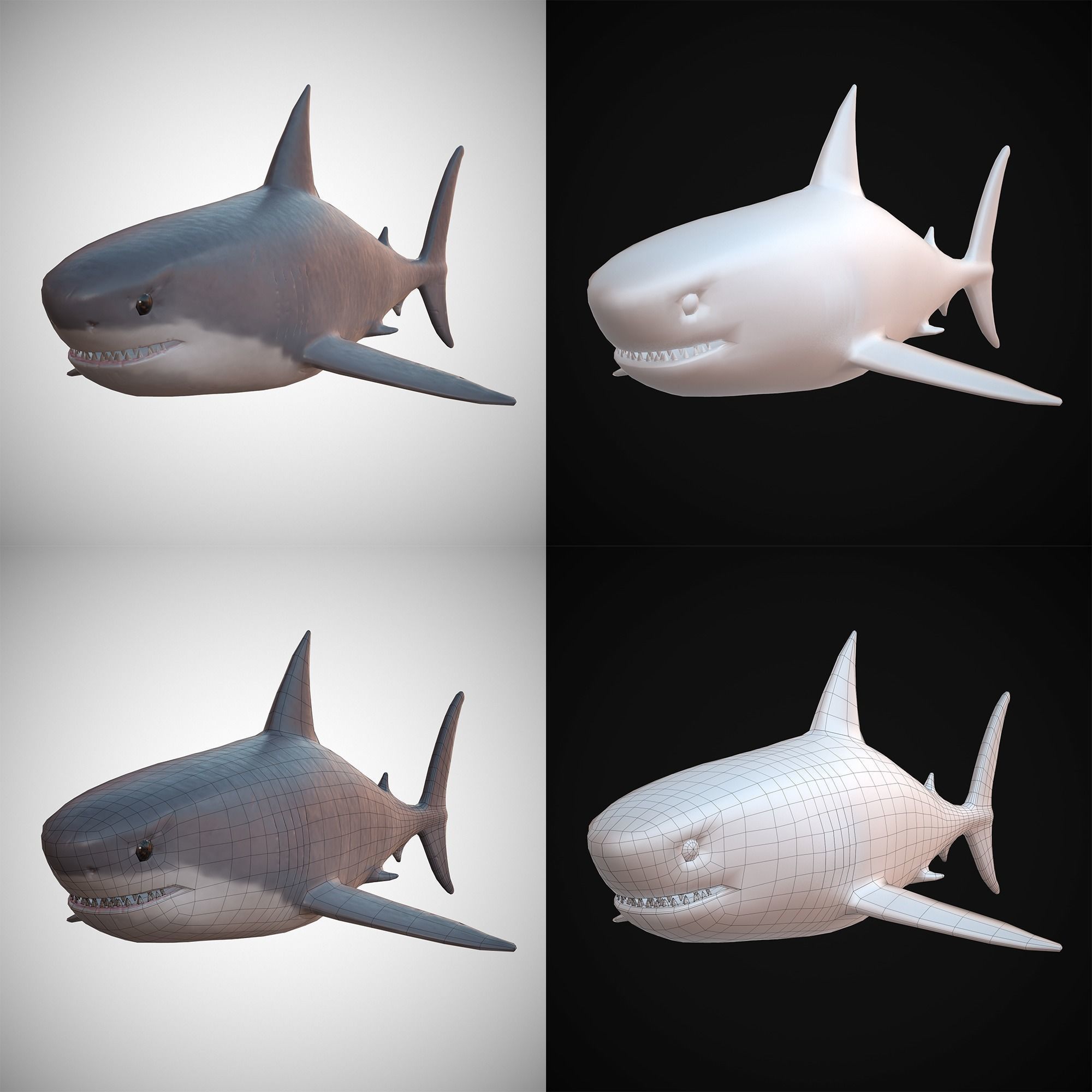 Sharks - 4 Pack Low-poly 3D model_3