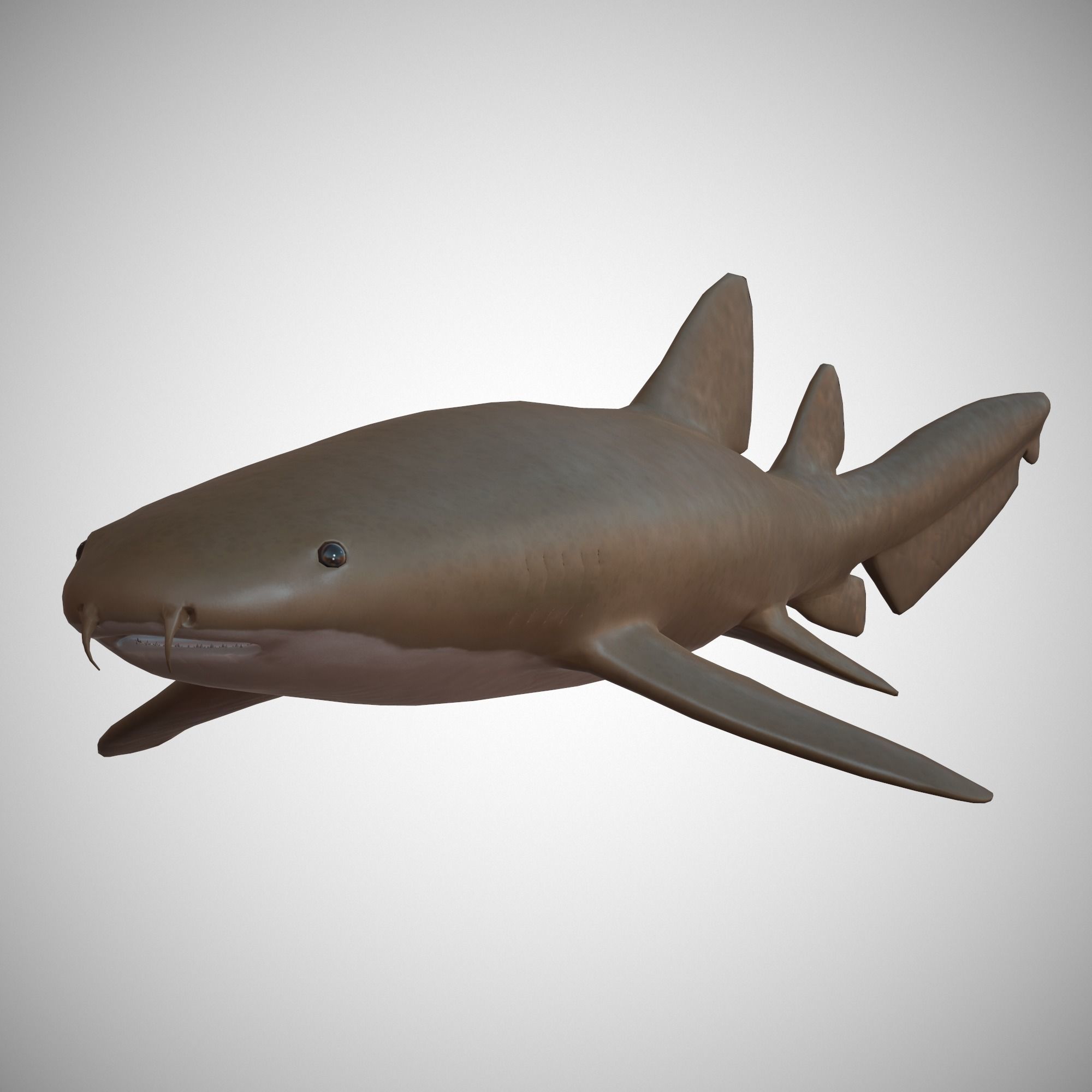 Sharks - 4 Pack Low-poly 3D model_10