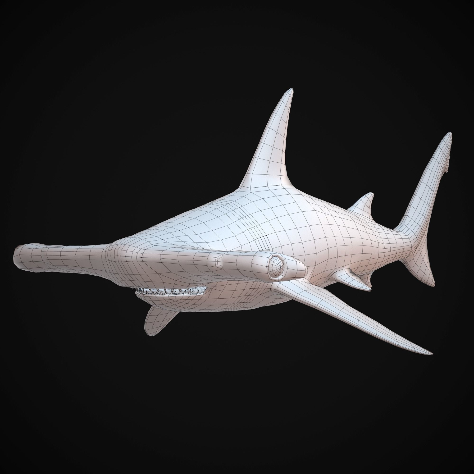 Sharks - 4 Pack Low-poly 3D model_5